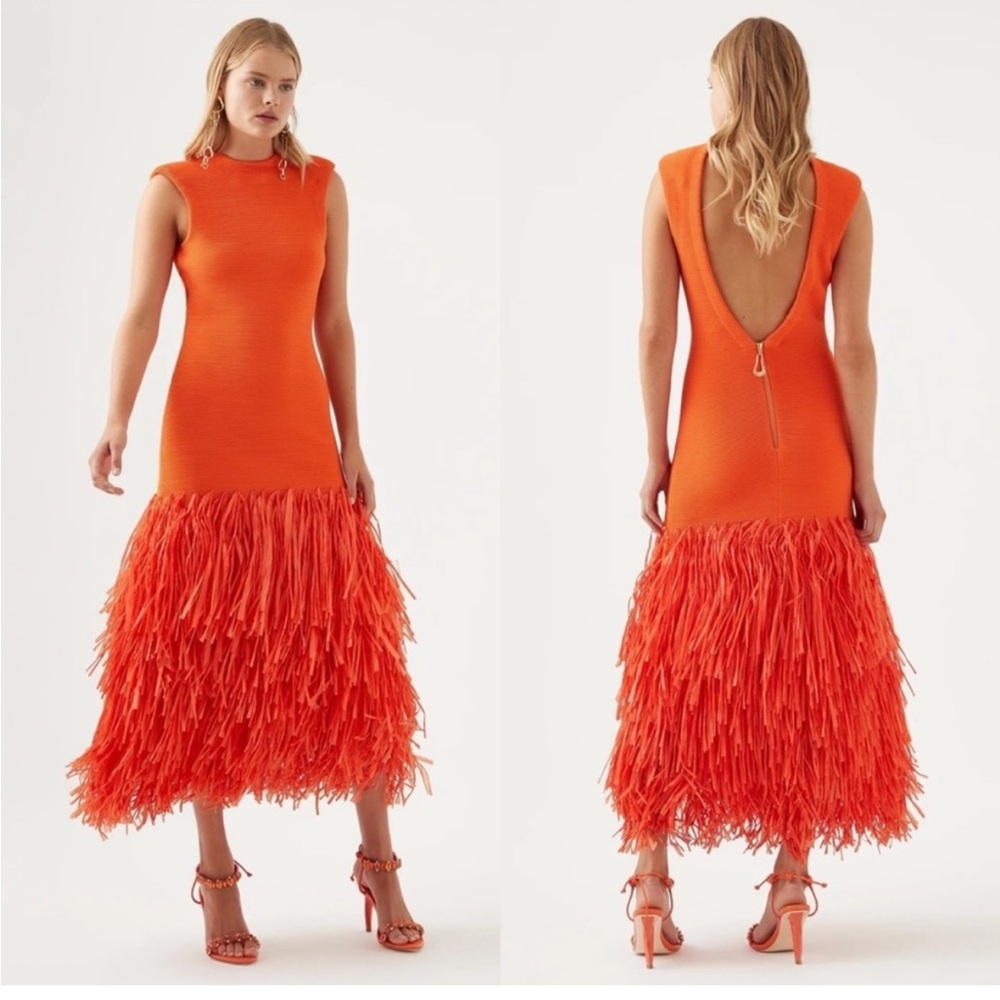 ISO Aje Rushes Fringe Dress